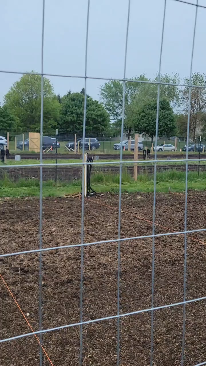 Meadow Grass Community Garden: One of Minnesota’s Most Diverse Community Gardens